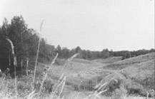 «Долина» (10,9 и 97,6 Кб)